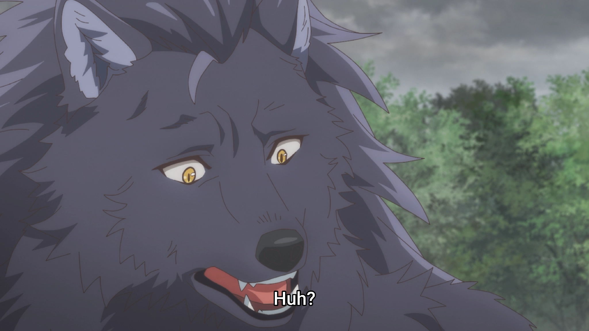 Screenshot from the anime "Kanteishi (Kari)" showing a gray wolf person with a confused facial expression.