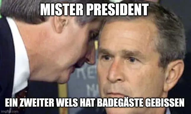 A meme of the moment George Bush is informed about the second plane hitting the World Trade Center. The text says "Mister president, a second catfish has bitten people" in German, referring to a recent story where this exact thing happened.