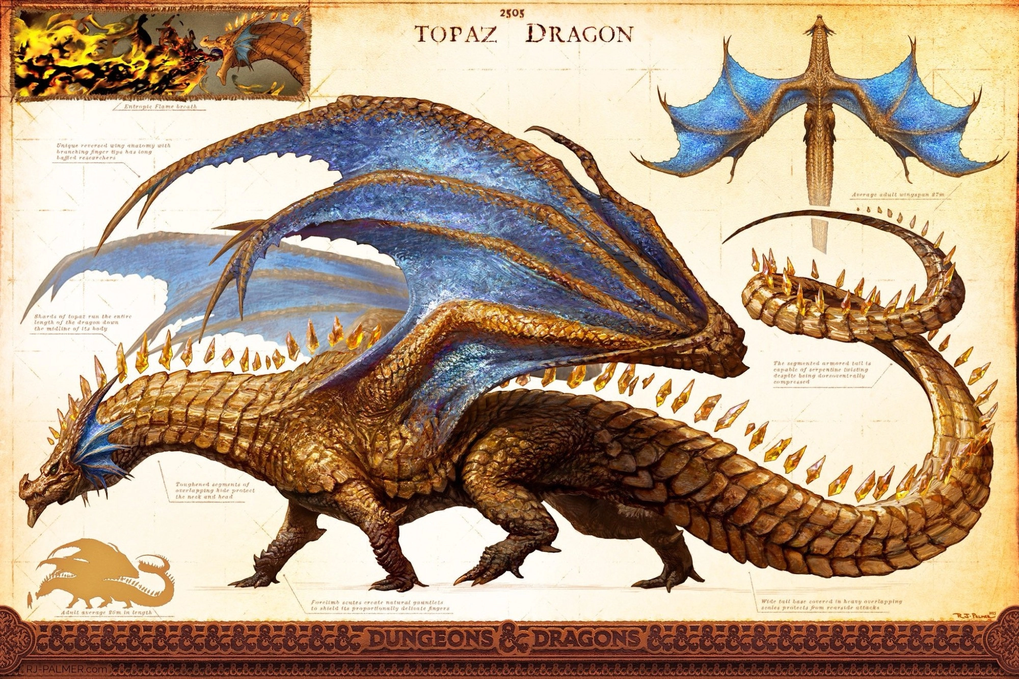 Character sheet of a Topaz Dragon, showing a huge golden dragon whose wings are backwards.