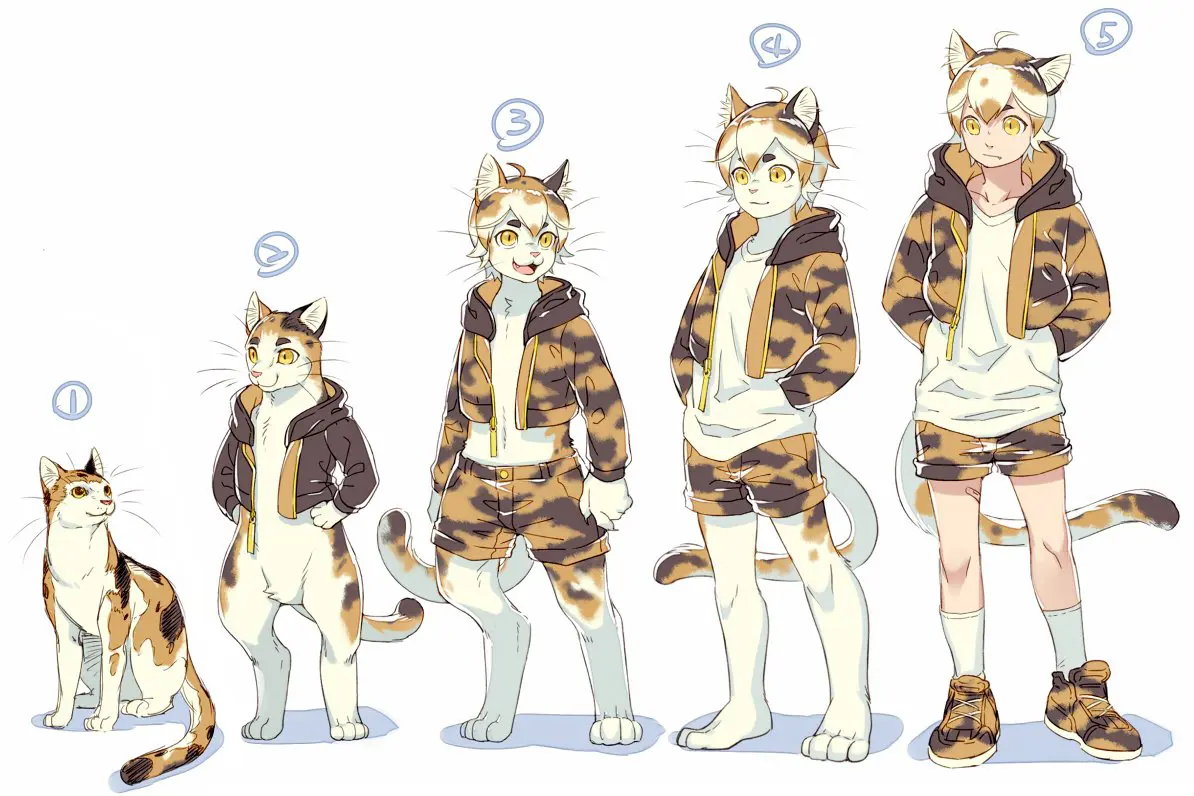A picture showing a scale of anthropomorphization of a cat ranging from 1 to 5.
- 1: Regular animal
- 2: Standing on 2 legs and wearing a jacket, but still having clearly animal anatomy
- 3: Now taller, a human neck and human hair.
- 4: Now plantigrade, which makes it pretty much a human with fur, cat ears, nose, tail and paw-like feet.
- 5: A human with cat ears and a tail.