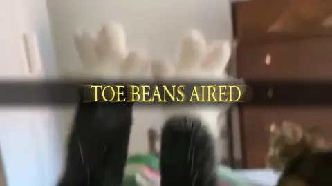 Screenshot from the video with a Dark Souls overlay saying "Toe beans aired".