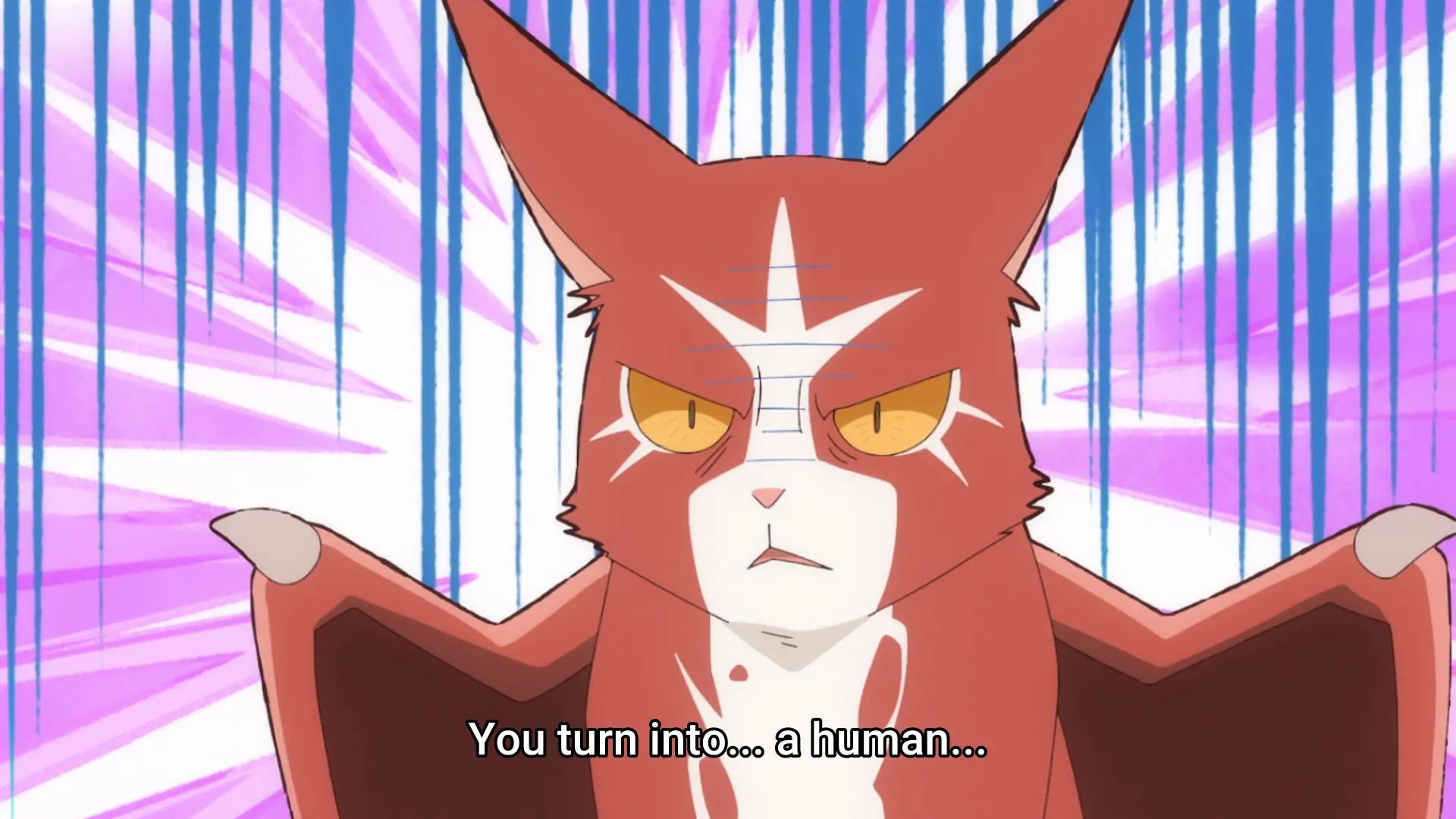 Screenshot from the anime "Neko to Ryuu" showing a red winged cat with a disgusted expression saying "You turn into... a human..."