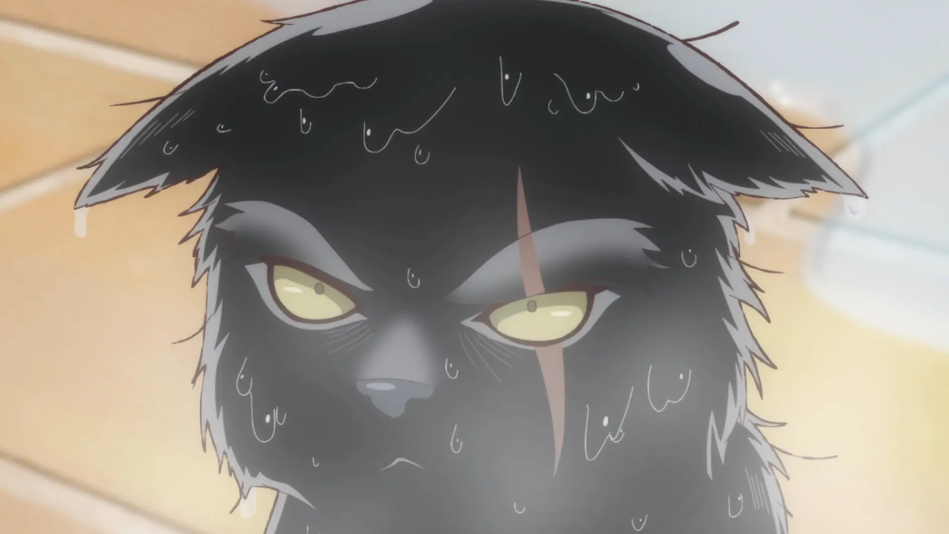An anime cat in a bathroom, wet and with a grumpy face.
