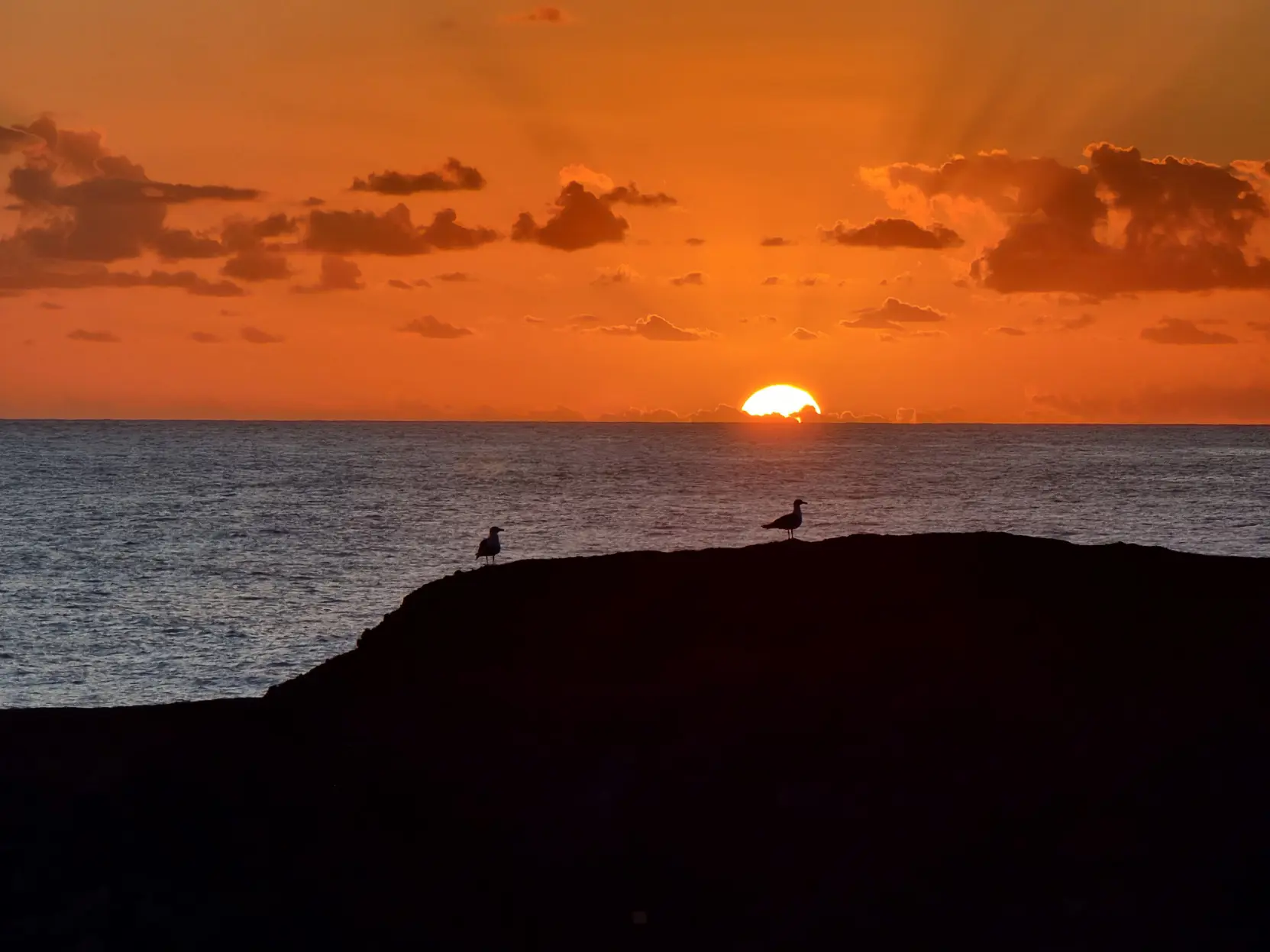 Two birds standing on a cliff. In the background, there's the sun setting on the sea. The birds and cliff are black silhouettes.