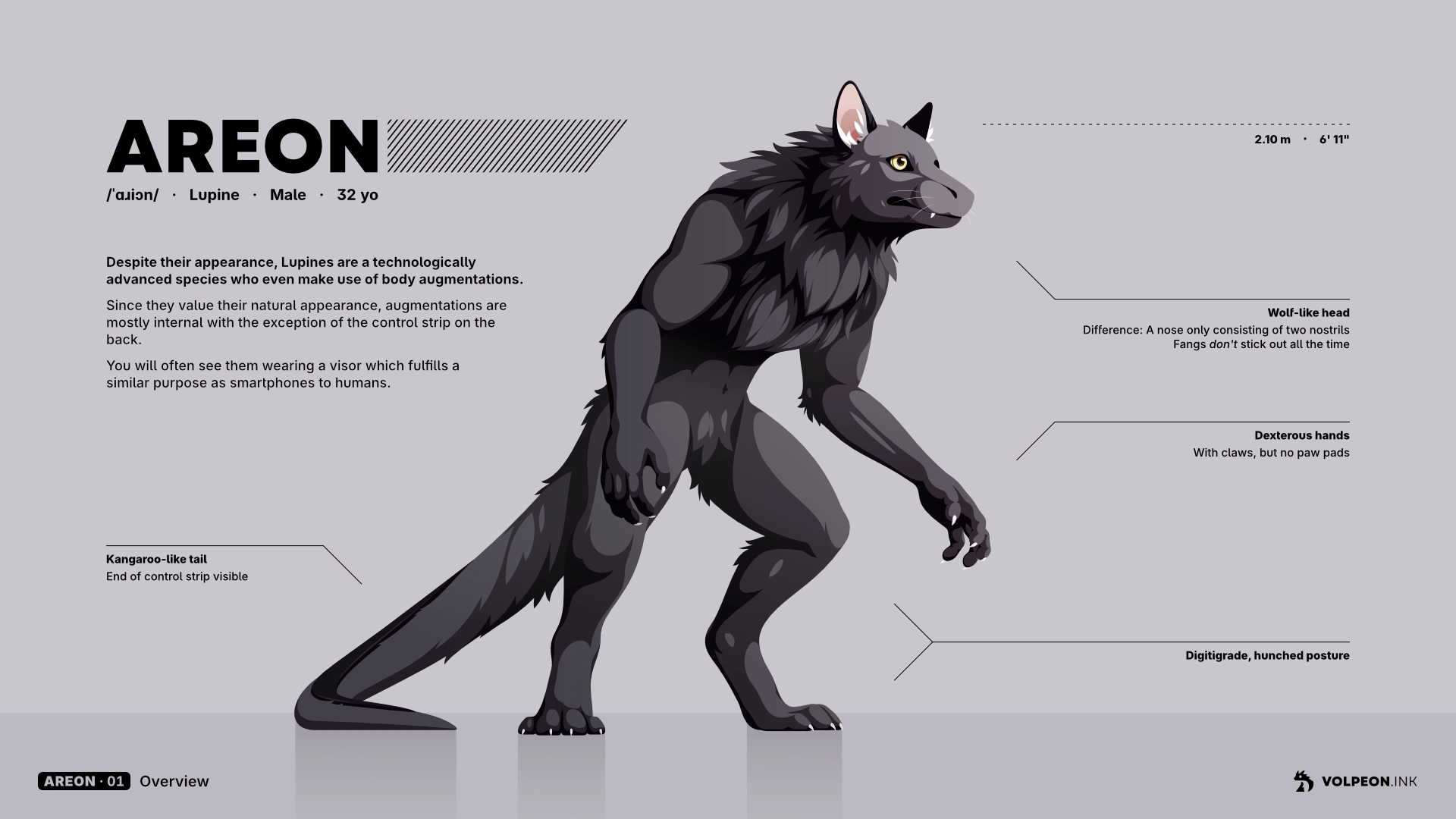Vector art of Areon, my werewolf-like alien character. It's the first page of his character sheet.

He's a member of the "Lupine" species who are technologically advanced and make use of body augmentations, but keep them subtle since they value their natural appearance.

Areon looks very much like a werwolf: He has a wolf's head, dark gray fur all over his body, his legs are digitigrade and his posture is hunched. Unlike a regular werewolf, he has a kangaroo-like tail and a different nose.