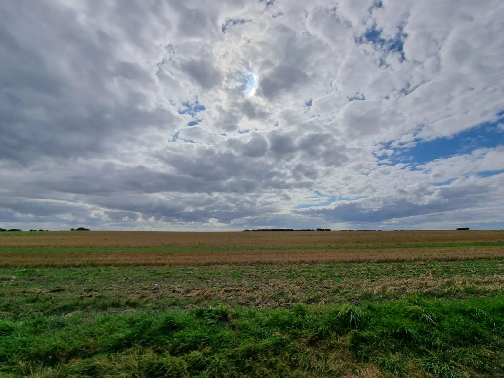 Landscape photo showing a plain field with dramatic clouds.