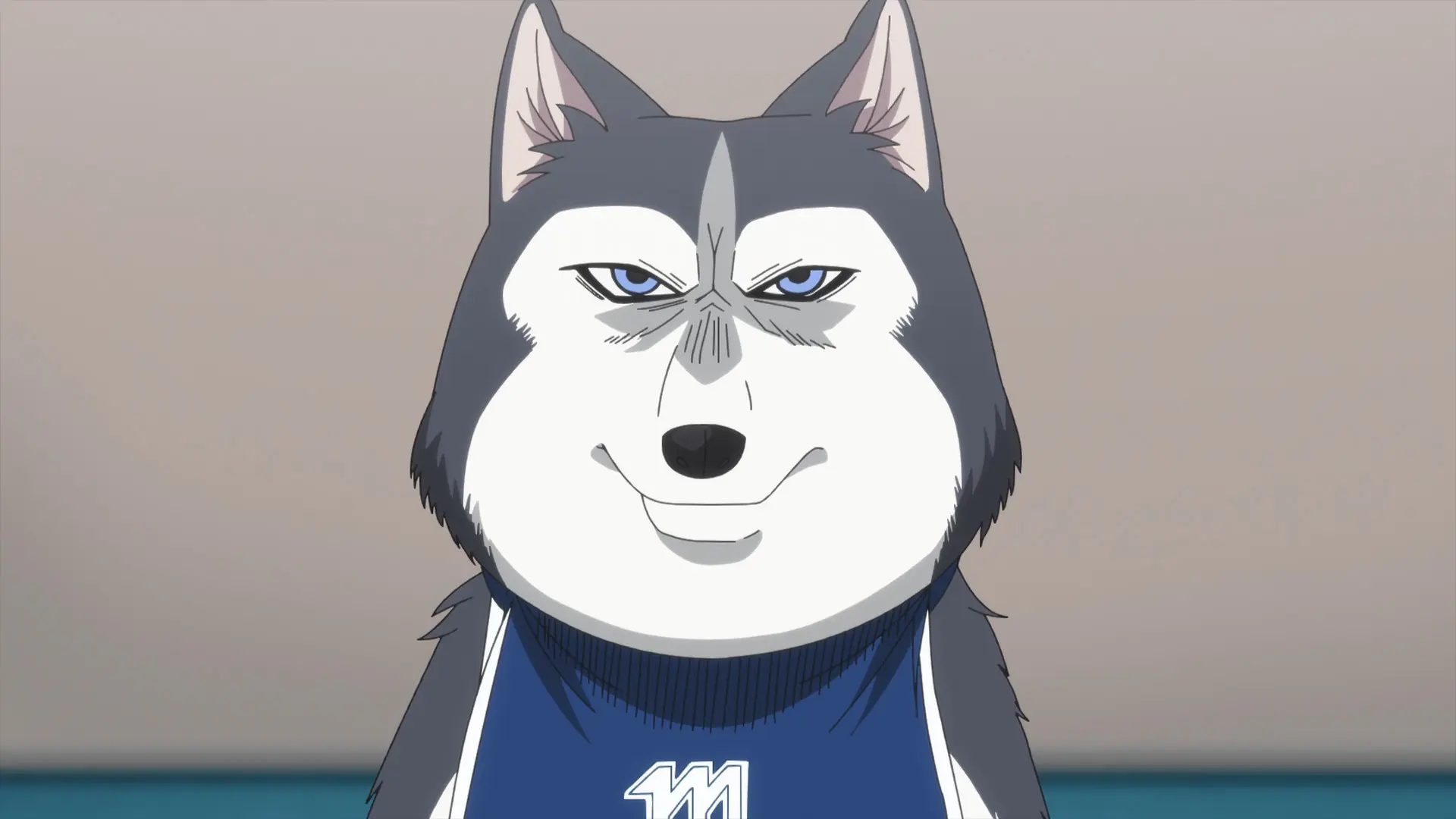 Screenshot from the anime "Ballpark de Tsukamaete!" showing a Siberian Husky with a pretty scary face.