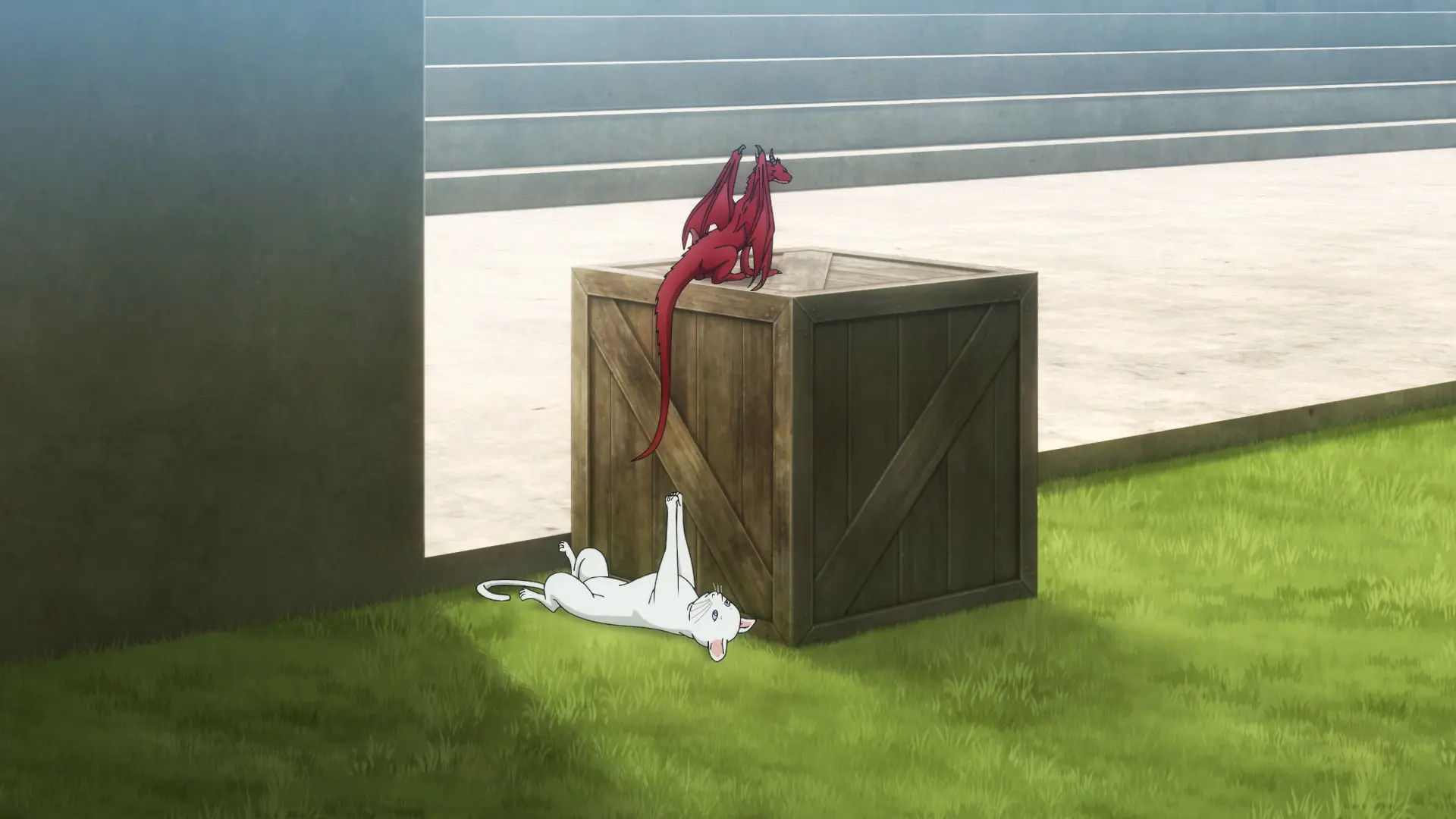 A small red dragon sitting on a wooden crate. Its tail is dangling down, and a white cat is lying on the ground below playing with it.