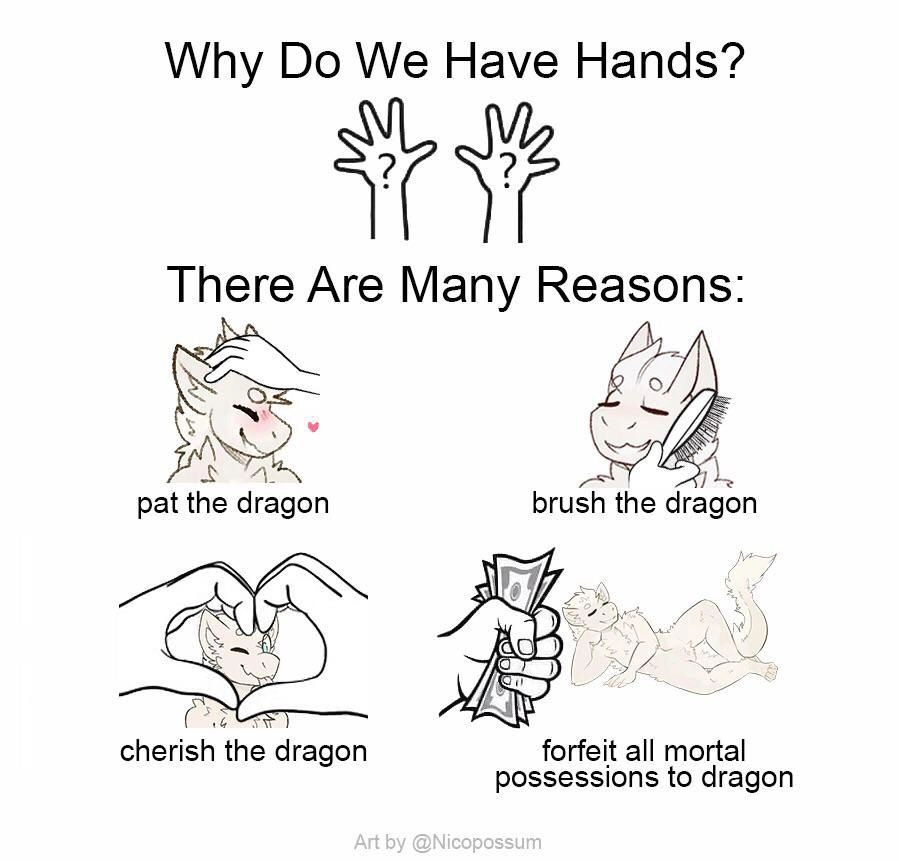 Why do we have hands? There are many reasons:
- pat the dragon (followed by a picture of a dragon being pet on the head)
- brush the dragon (with a picture of a dragon being brushed)
- cherish the dragon (with someone making a heart gesture in front of a dragon)
- forfeit all mortal possessions to dragon (with someone holding money in front of a dragon)