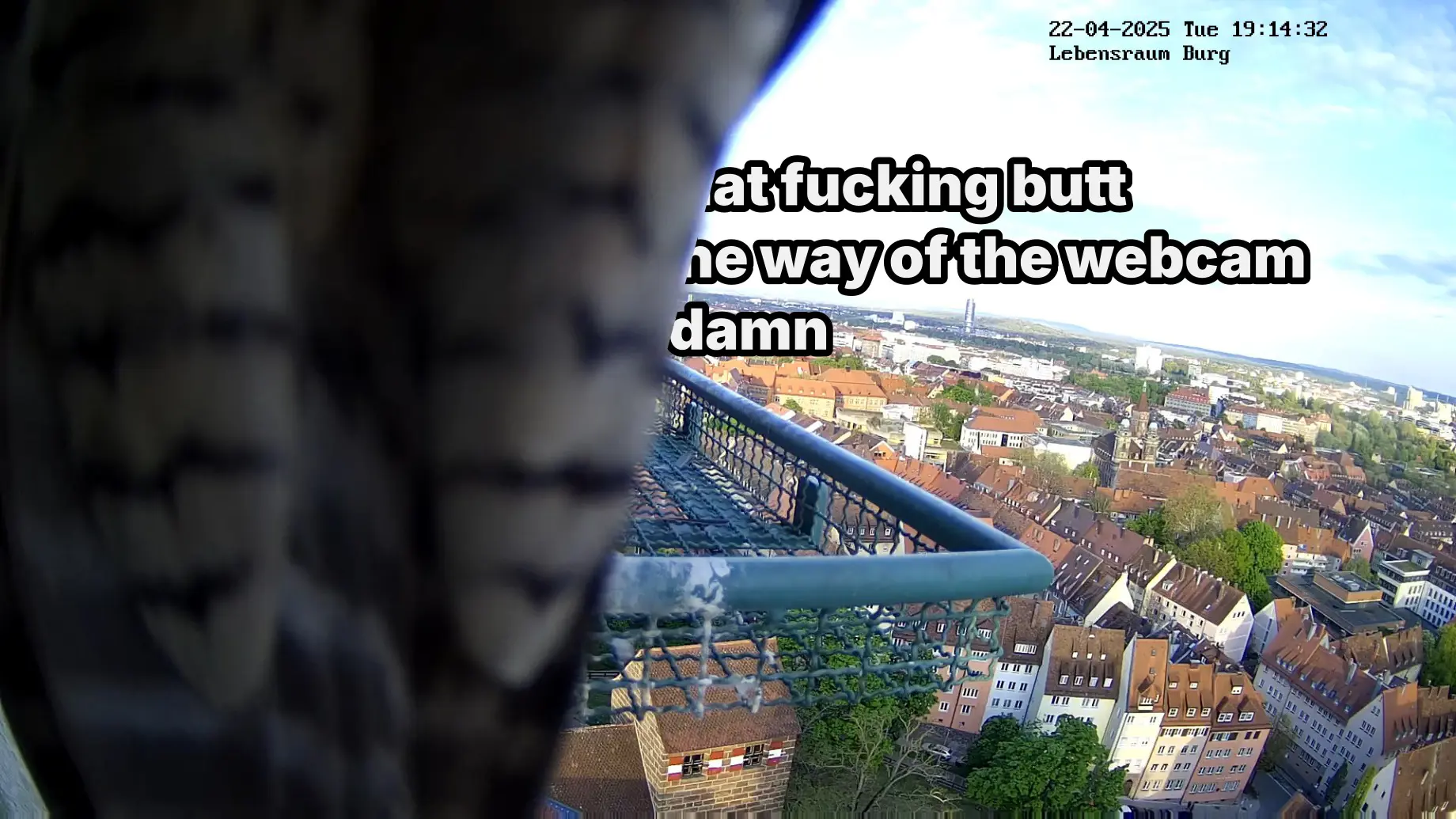 Webcam footage showing the entrance of a peregrine falcon nest. One falcon is sitting on the webcam, so its tail feathers are covering half of the picture. A text has been added which is also obstructed by the feathers: 
...at fucking butt
...he way of the webcam
...damn