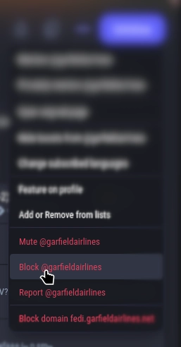 Screenshot showing my cursor hovering the "Block @garfieldairlines" menu item