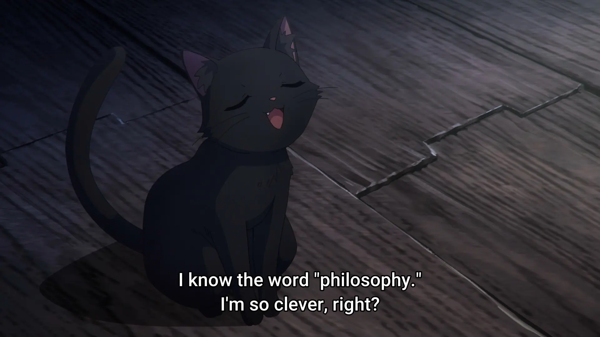 Same cat, now sitting on the floor like a cat. He says "I know the word 'philosophy.' I'm so clever, right?"