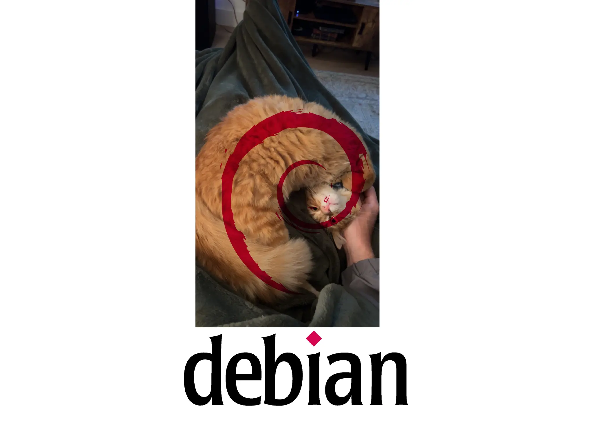 Above photo with the Debian logo overlaid. The cat's body perfectly matches the red swirl.