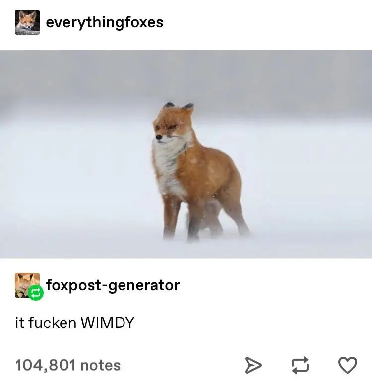 A Tumblr post showing a fox withstanding very strong winds. The response below says "it fucken WIMDY"