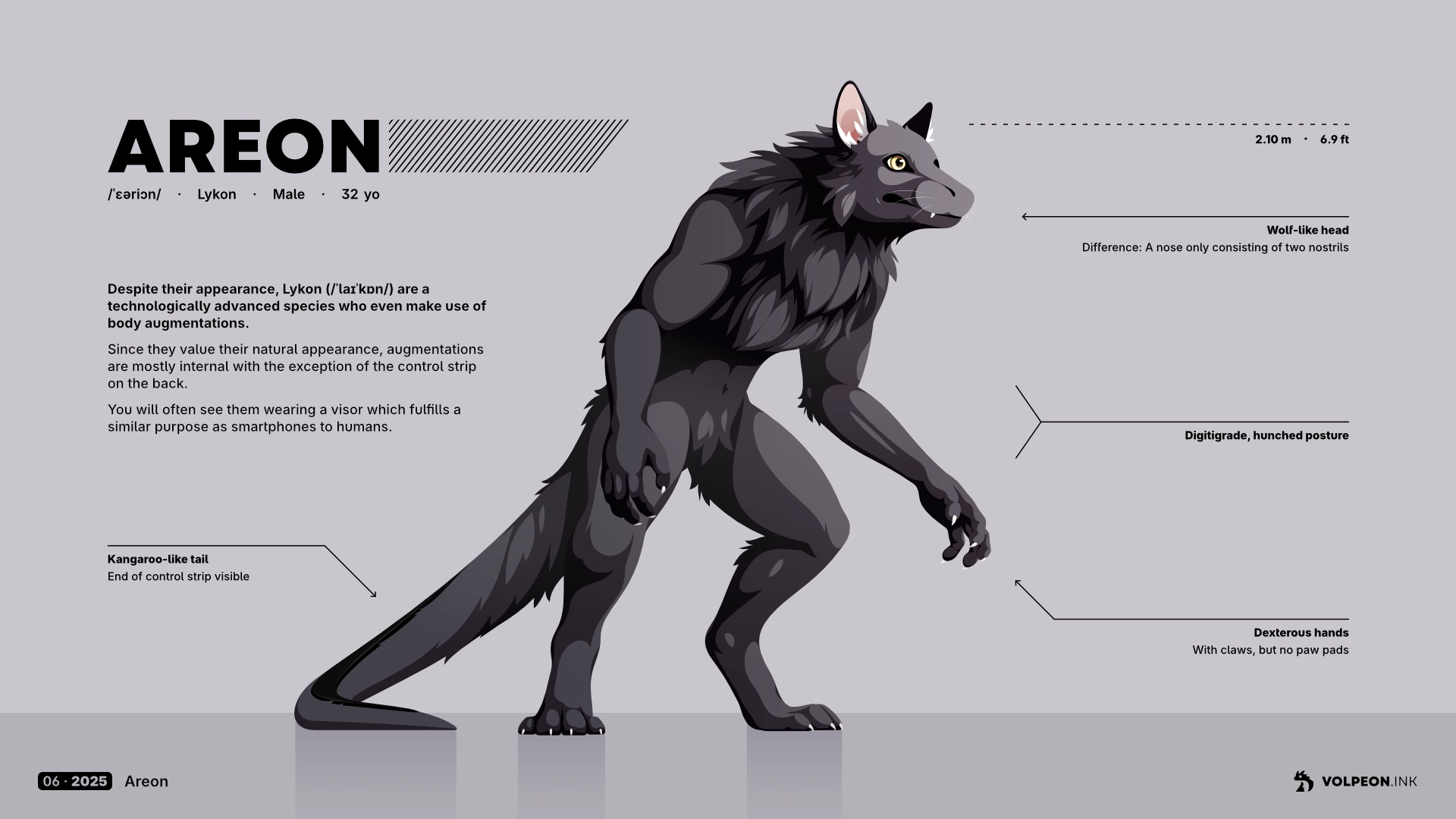 Character sheet about a werewolf-like creature named "Areon". He's a member of the "Lykon" species who are technologically advanced and make use of body augmentations, but keep them subtle since they value their natural appearance. Areon looks very much like a werwolf, except for a more lizard-like (yet furred) tail and a different nose. His fur is a uniform dark gray.