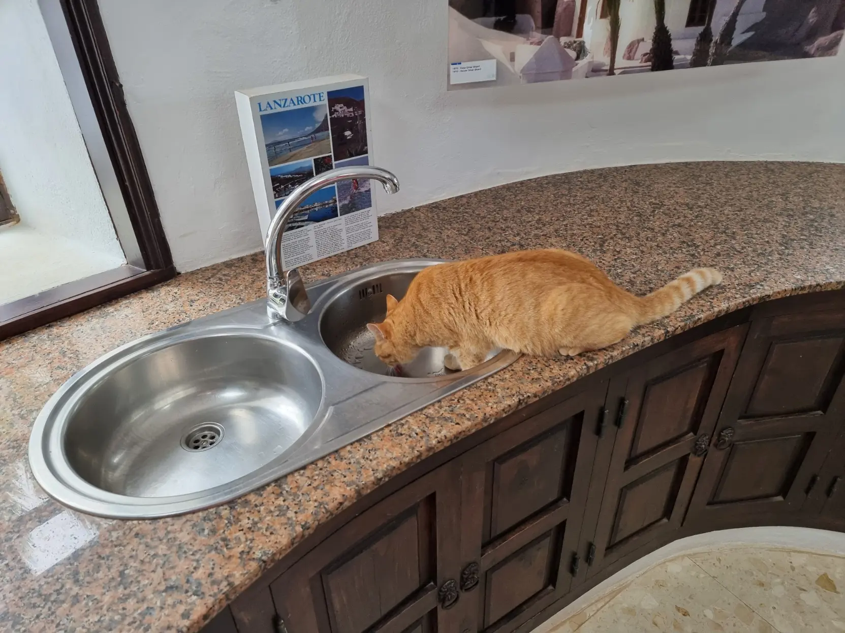 A ginger cat standing half inside a sink drinking puddles of water that collected in there.