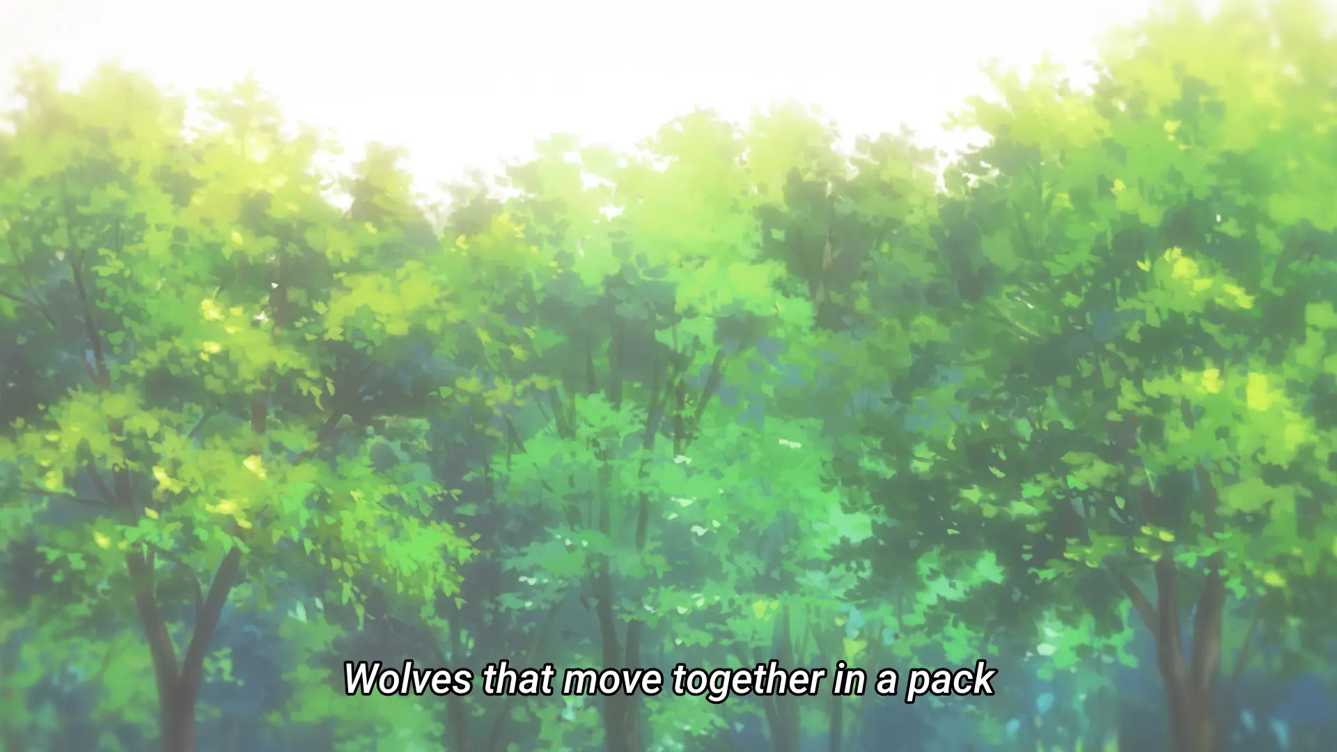 Screenshot from an anime showing a forest with the subtitle "Wolves that move together in a pack..."