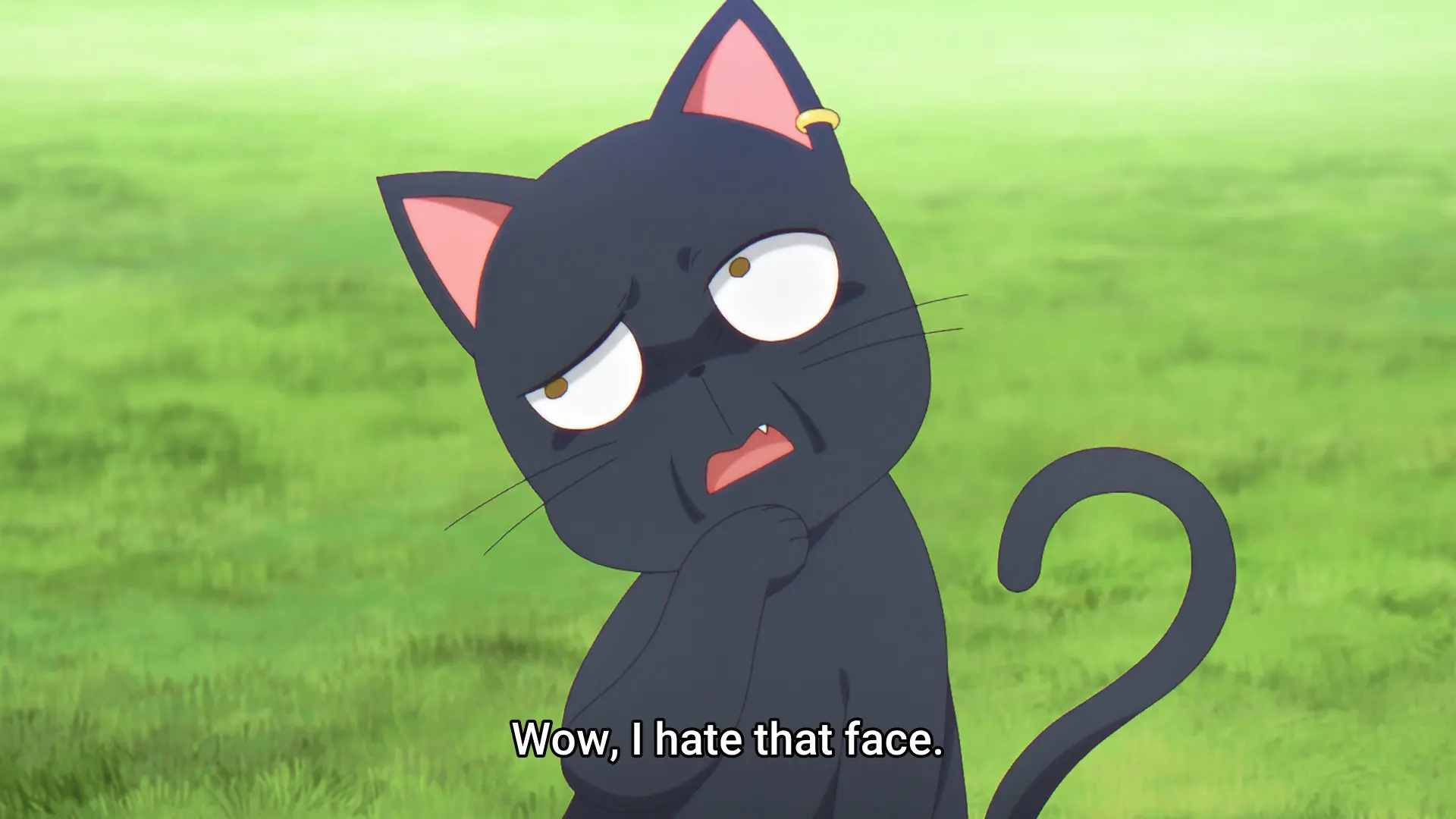 Screenshot from the anime "Kuroneko to Majo no Kyoushitsu" featuring a black cat holding a paw on its chin while making an expression that's a mix of thinking and disgust. The subtitle says "Wow, I hate that face."