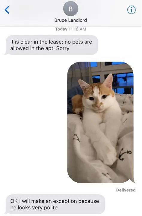 "Polite Cat" meme showing a messaging exchange between a perosn and their landlord.
Landlord: "It is clear in the lease: no pets are allowed in the apt. Sorry"
Person responds with a picture of a cat. The cat has been replaced by Bilbo from the photo I'm replying to.
Landlord: "OK I will make an exception because he looks very polite"
