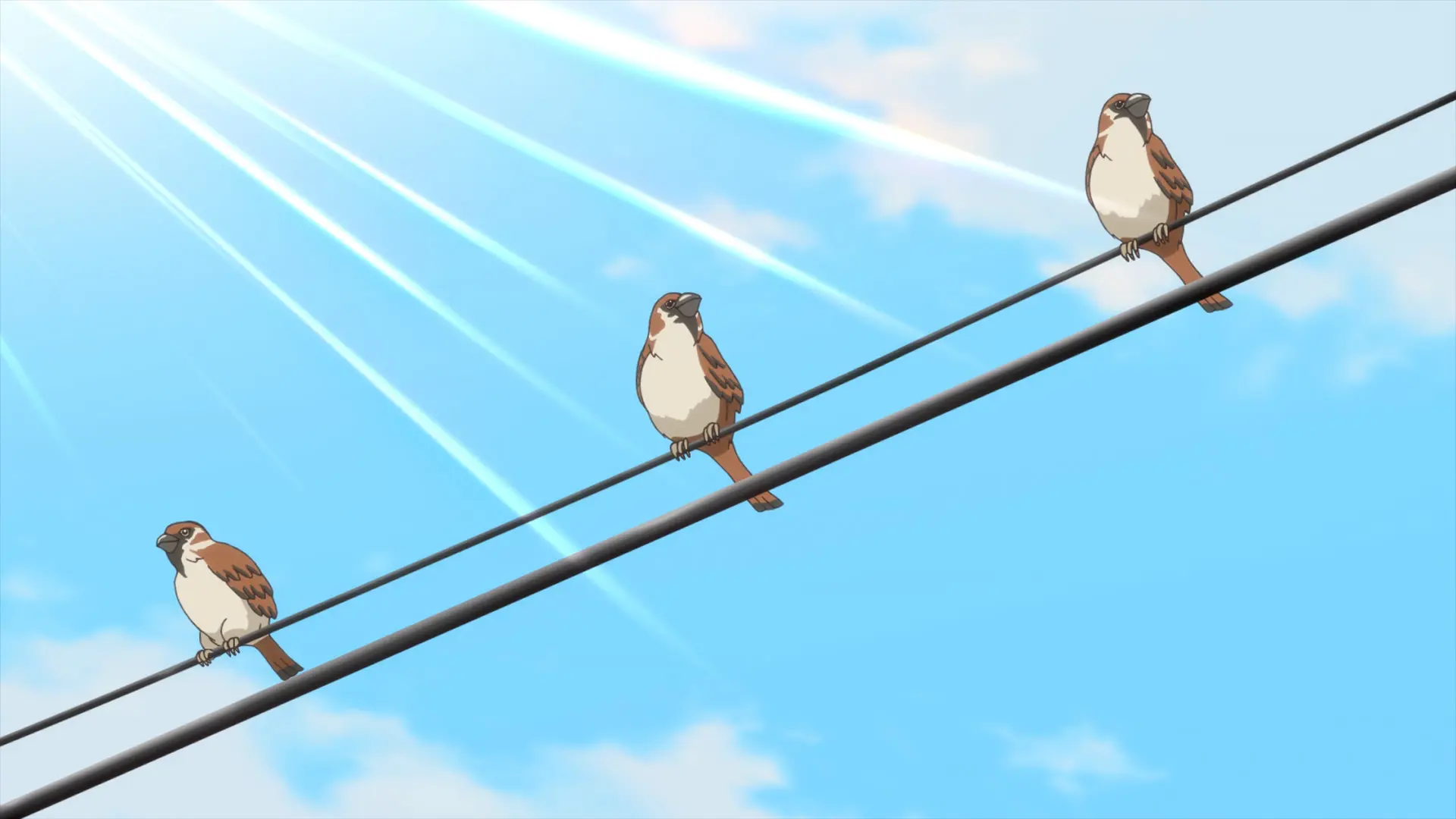 Screenshot from the anime "Zatsu Tabi - That's Journey" showing three sparrows sitting on an overhead wire.