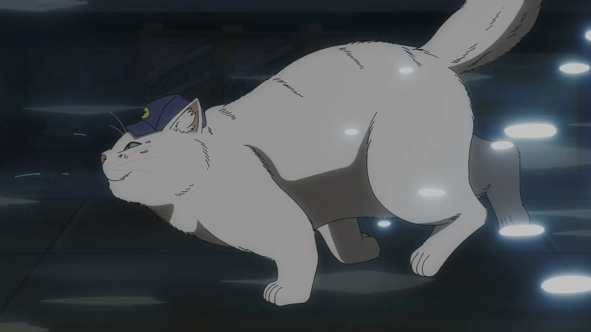 Screenshot from the anime "Nyaight of the Living Cat" showing a heavy white cat with a hat running very fast.