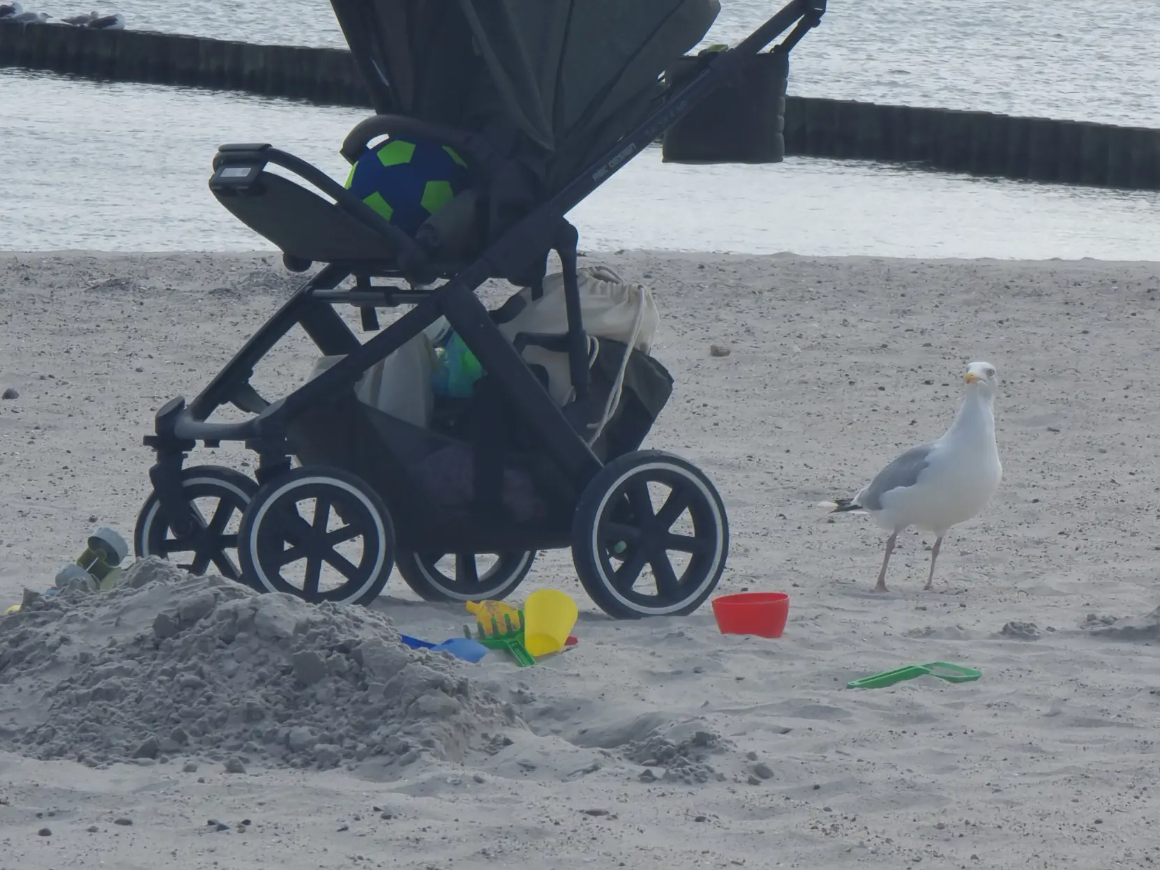 A seagull looking at a stroller on the beach.