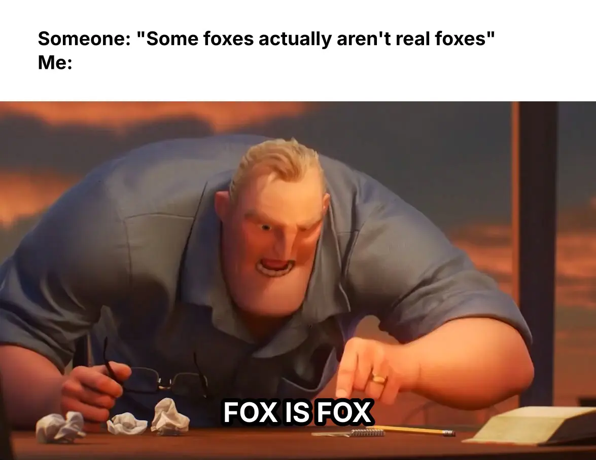 Meme with the leading caption: "Someone: 'Some foxes actually aren't real foxes' - Me:"
There's a picture of Mr. Incredible pointing angrily at homework in front of him.
He says "Fox is fox".